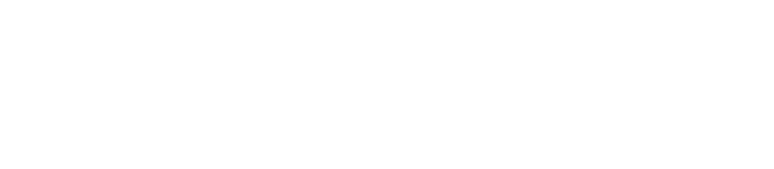 Face Academy